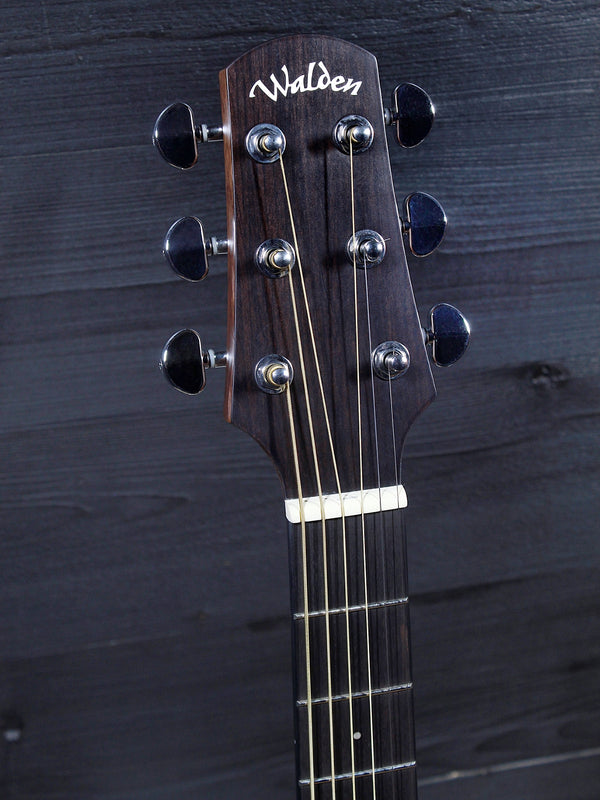 Walden Guitars D550CE Solid Top Acoustic-Electric Dreadnought
