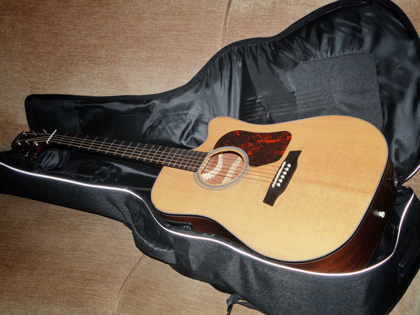 Walden Guitars D550CE Solid Top Acoustic-Electric Dreadnought