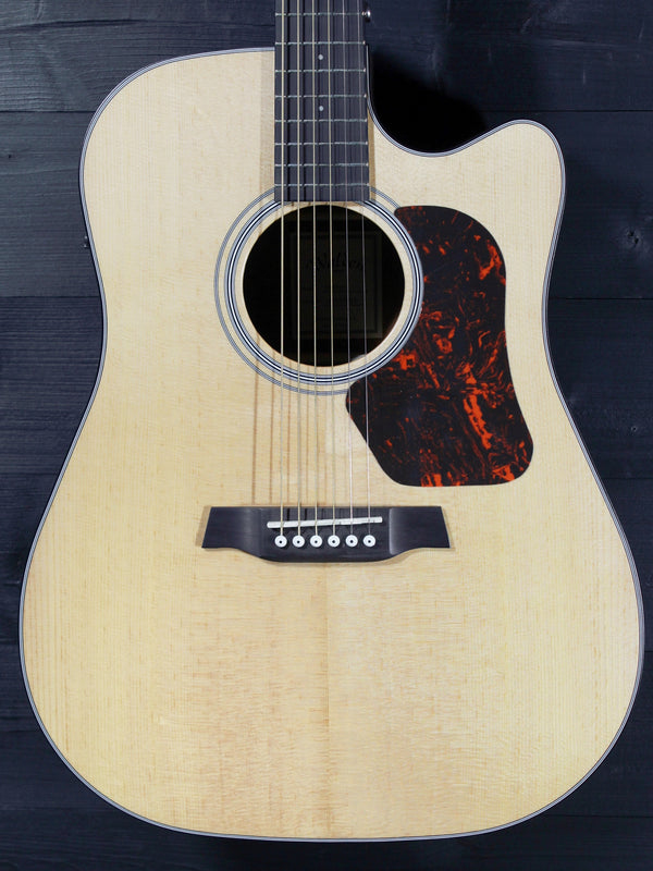 Walden Guitars D550CE Solid Top Acoustic-Electric Dreadnought