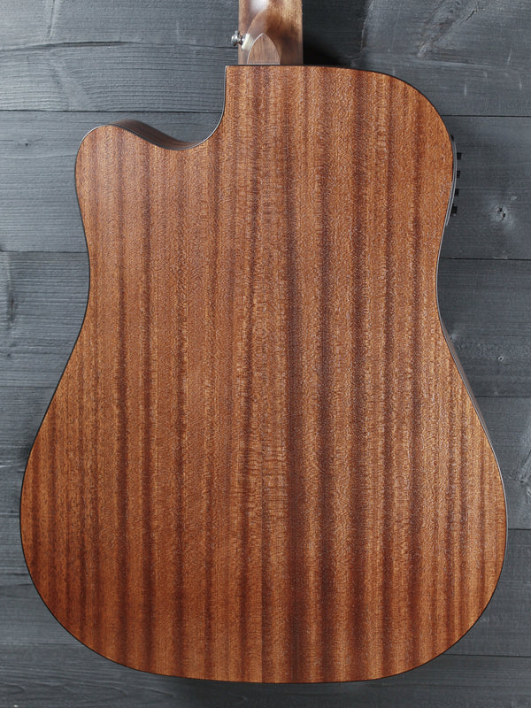 Walden Guitars D550CE Solid Top Acoustic-Electric Dreadnought