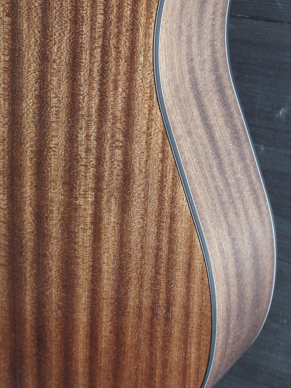 Walden Guitars D550CE Solid Top Acoustic-Electric Dreadnought