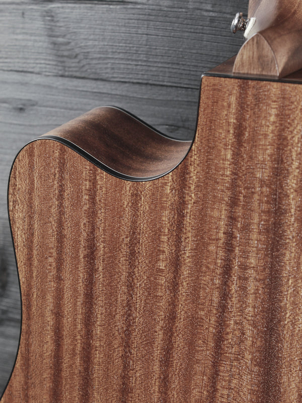 Walden Guitars D550CE Solid Top Acoustic-Electric Dreadnought