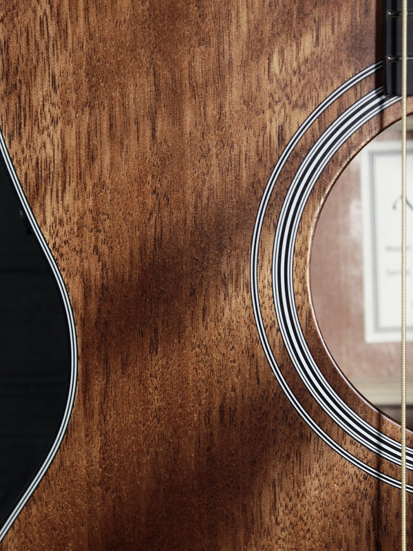 Walden Guitars G551e Mahogany Auditorium Acoustic-Electric Guitar