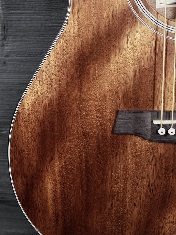 Walden Guitars G551e Mahogany Auditorium Acoustic-Electric Guitar