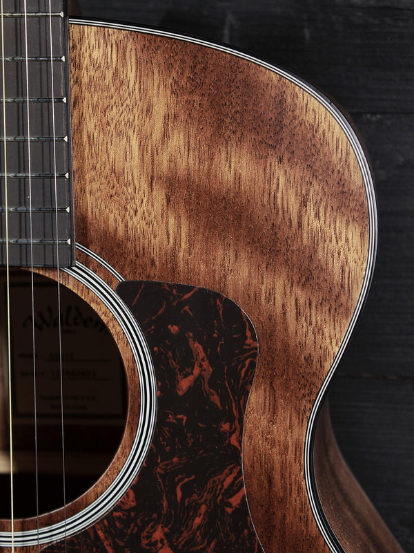 Walden Guitars G551e Mahogany Auditorium Acoustic-Electric Guitar