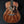 Load image into Gallery viewer, Walden Guitars G551e Mahogany Auditorium Acoustic-Electric Guitar
