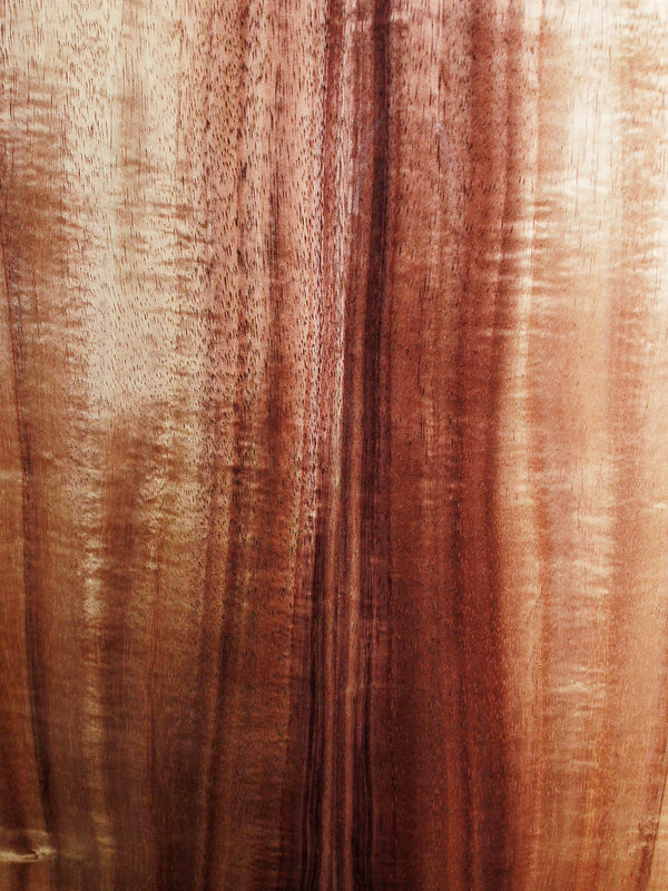Taylor 214ce Koa Deluxe - Authorized Online Dealer