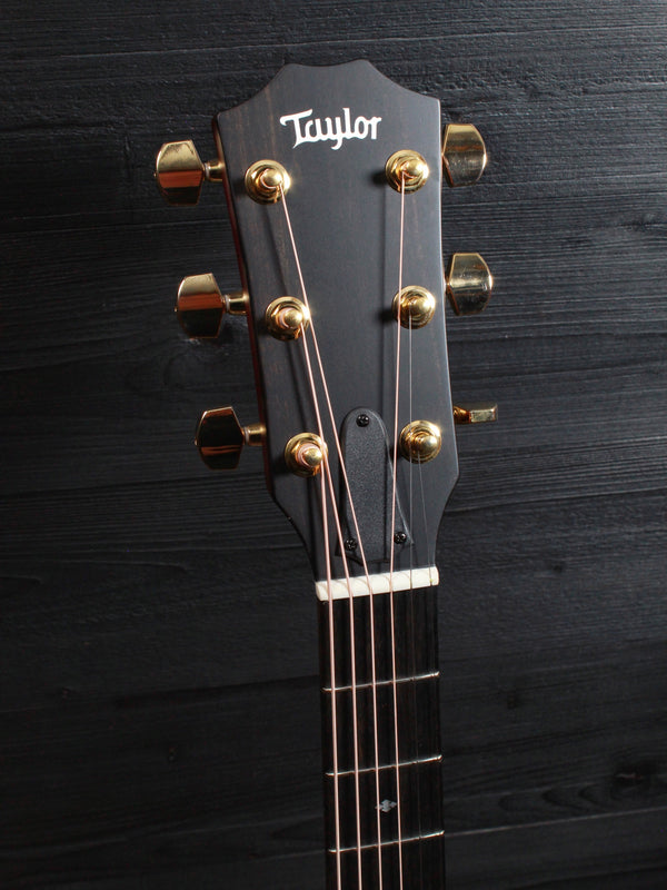 Taylor 224ce-UA DLX Urban Ash - Authorized Online Dealer