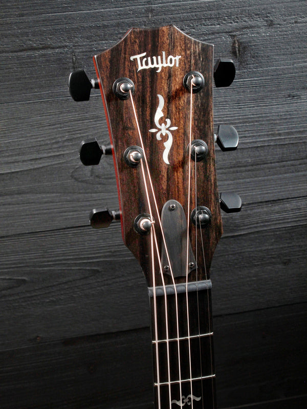 Taylor 424ce LTD WSB All Solid Urban Ash - Authorized Online Dealer