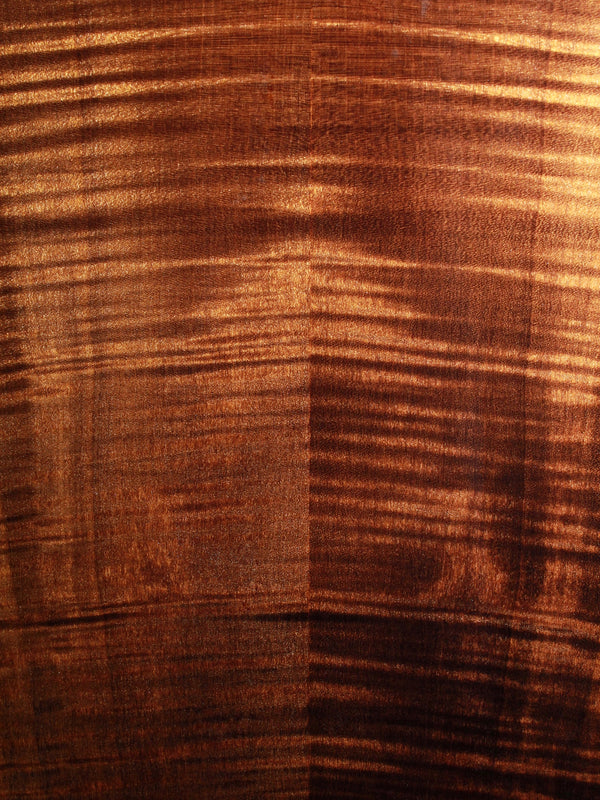 Taylor 614ce Maple V-Class Bracing - Authorized Online Dealer