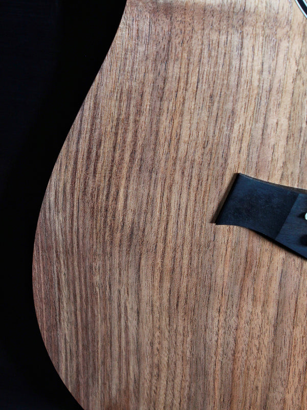 Taylor BBT Big Baby / Walnut - Authorized Online Dealer