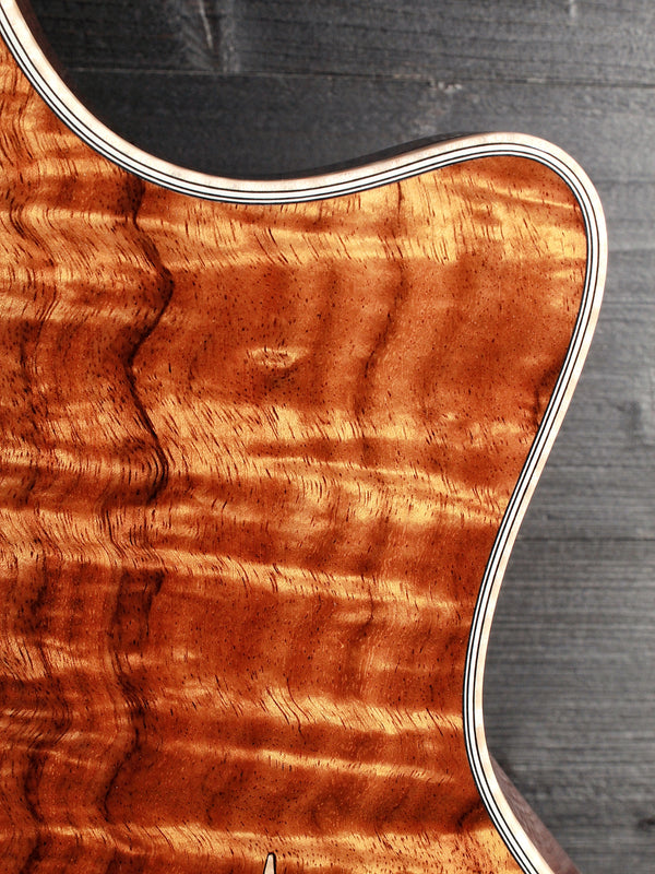 Taylor Custom Shop T5 w/ Master Grade Koa - Authorized Online Dealer