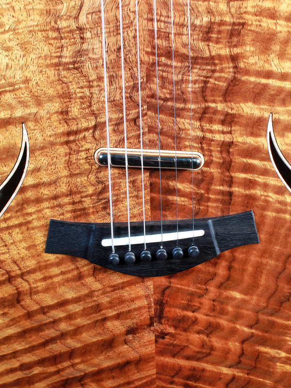 Taylor Custom Shop T5 w/ Master Grade Koa - Authorized Online Dealer