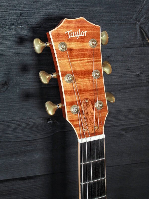 Taylor Custom Shop T5 w/ Master Grade Koa - Authorized Online Dealer