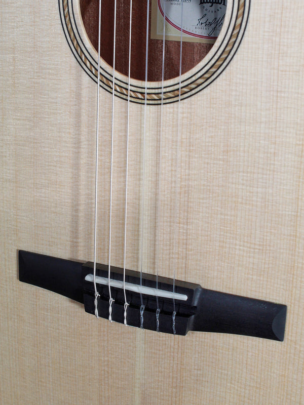 Taylor Academy 12E N / Nylon String - Authorized Online Dealer