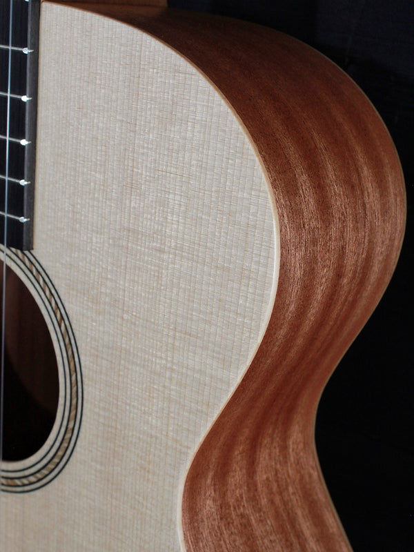 Taylor Academy 12E N / Nylon String - Authorized Online Dealer