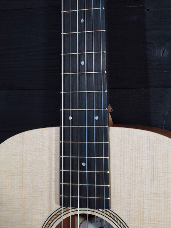 Taylor Academy 12E N / Nylon String - Authorized Online Dealer