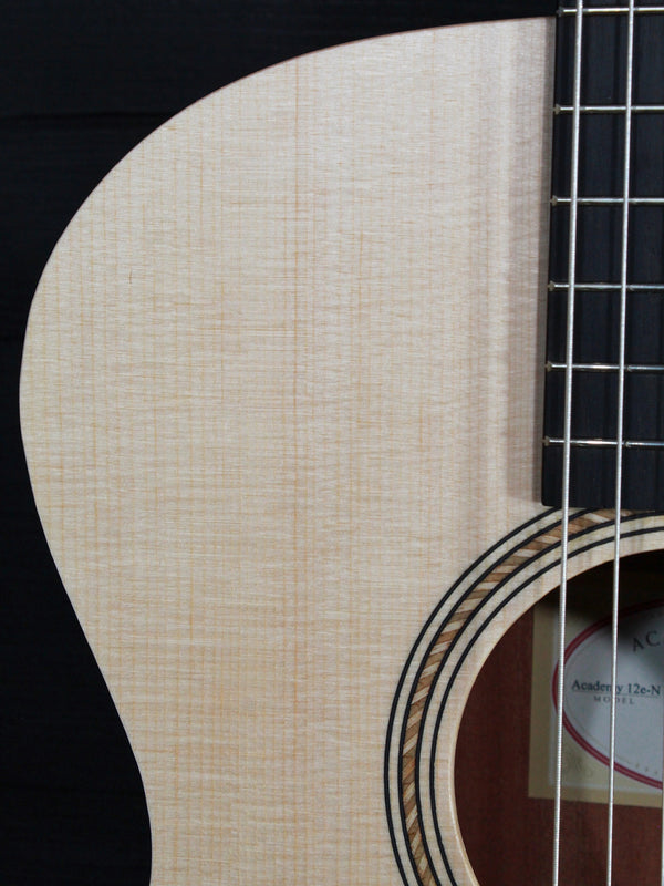 Taylor Academy 12E N / Nylon String - Authorized Online Dealer